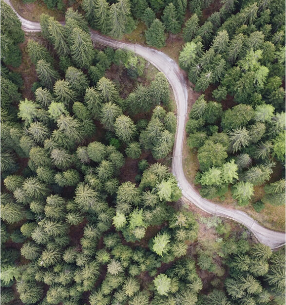 chemin vu de haut dans la nature, traversant une forêt